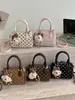 Shuai Mijia 2026 Verão Nova Bolsa de Mão Pequena Tote Bag para Mulheres Bolsa Almofada de Bolinhas de Alto Valor Bolsa de Ombro Único Transversal
