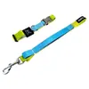 Conjunto de duas peças em estoque de fábrica de coleira e guia para cães em blocos de cor, nylon resistente ao desgaste com fivela de metal, conjunto para passeios de cães atacado