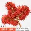 Videira de Folha de Bordo Vermelho Videira de Flor de Plástico Folhas Decoração Videira Flor Artificial Treliça Planta de Teto Tubo de Plantação Enrolamento