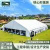 Junxin Fabricante Suministra Marquesina para Bodas al Aire Libre Fiesta Columna Arqueada en Forma de Corazón Car Show Catering Invernadero de Aleación de Aluminio Tienda