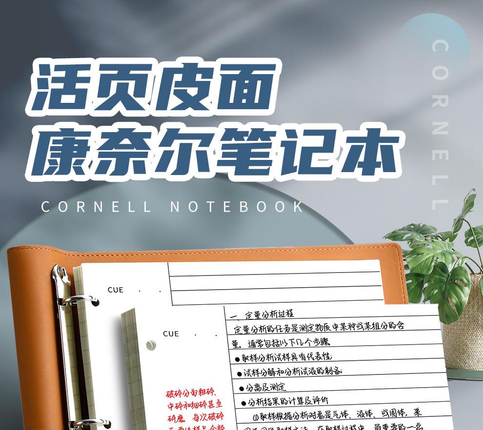 详情图01.jpg