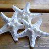 Estrellas de mar de pan de 3-10 cm estrellas de mar al vapor estrellas de mar reales pegatinas de pared concha marina natural mediterránea caracola al por mayor