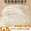 Colcha de soja modificada com álcool polivinílico e 30% de proteína do Xiaohongshu, enchimento de colcha 100% algodão puro Classe A, colcha de camada dupla, colcha de inverno para estudantes