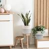 Cesta de flores tejida con cuerda de algodón, cesta para macetas, cesta para plantas, cesta redonda blanca, cesta para plantas en maceta pequeña