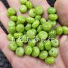Fruta fivela de jade verde contas de ábaco jade contas soltas jade pedra de quartzo contas espaçadoras verde oliva acessórios de joalheria contas feitas à mão
