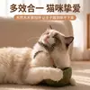 Juguete para gatos, vaso con hierba gatera para gatitos y gatos jóvenes, una herramienta de autoentretenimiento para aliviar el aburrimiento, palo con plumas para provocar, y palo con plumas para afilar los dientes
