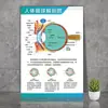 Diagrama de la Estructura Ósea de la Anatomía Humana, Diagrama de Distribución Interna de Órganos, Nervios y Músculos, Mural del Sistema Respiratorio y Órganos Digestivos