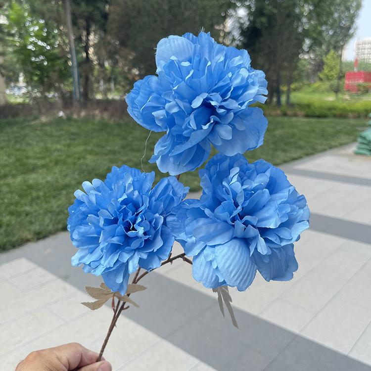 TeHui3大头涂层牡丹-sxzxx-蓝色.JPG