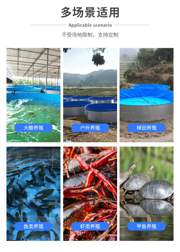 镀锌板鱼池2_20
