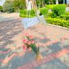 Bolsa de mão para embalagem de flores buquê personalizado saco de embalagem transparente ins saco de presente decoração de flores saco de presente de PVC personalizado