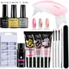 Set de Herramientas para Manicura en Gel Esmalte de Uñas Ojo de Gato Arcoíris Transfronterizo, Juego de Frascos Pequeños de Vidrio Transparente Hielo Polvo de Gel de Vidrio