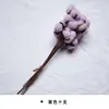 Materiais para Artesanato DIY de Flores Eternas no Atacado, Flores Secas, Frutas Secas, Rodelas de Laranja, Pinhas, Adereços para Fotografia de Flores, Materiais para Artesanato DIY de Jardim de Infância