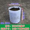 Bolsa de Cultivo de Tela No Tejida Bolsa para Semilleros de Venta Caliente Bolsa de Plantación para Vivero Maceta para Balcón Maceta Nutritiva Bolsa Engrosada para Plantar Árboles Fija