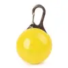 Luz para Passeio de Cachorro Pet Led Pingente Luminoso para Cachorro Luminous Teddy Anti-Perda Luz Placa de Identificação Lateral Golden Retriever French Metabo
