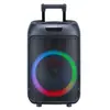 Modelo do Fabricante Caixa de Som com Carrinho para Exterior 12 polegadas Jbr-1205 Bluetooth Microfone Duplo Sem Fio 40W 9V Alta Potência Exportação
