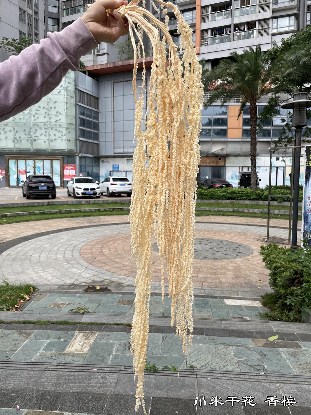 微信图片_20220502121959