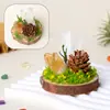 Adorno de musgo eterno para micro-paisaje de cristal con base de madera natural, decoración de cristal natural, piedra bruta de cristal, adorno de racimo de cristal