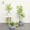 Planta Simulada Simulação de Planta Limoeiro Nórdico Grande Planta Verde Falsa Planta em Vaso Sala de Estar Interna Decorações Ornamentais Fruta Bonsai