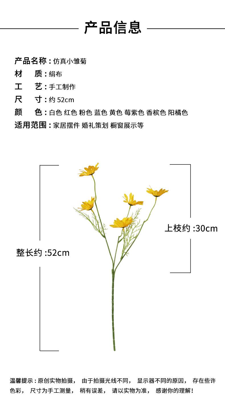 详情页_03.jpg