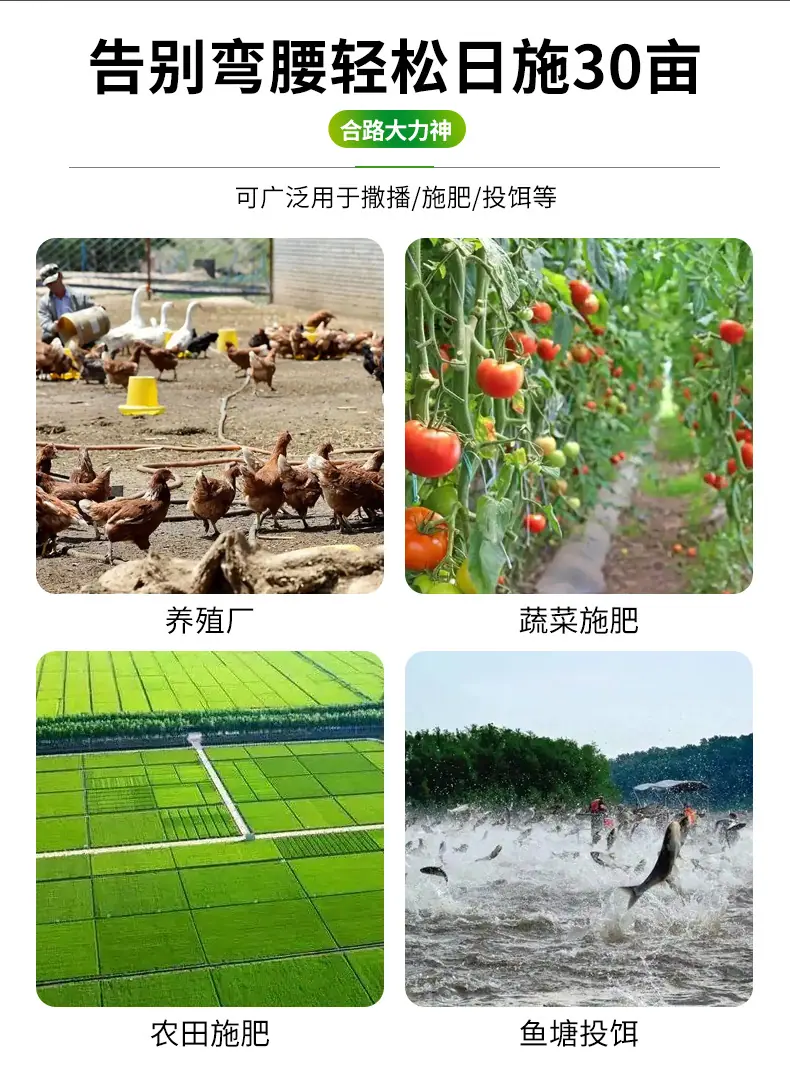 未标题-1_04.jpg