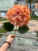 Hortênsia simples cor champanhe Comércio Exterior Cabeça única Hortênsia grande estilo coreano simulação hortênsia casamento flores falsas macias atacado