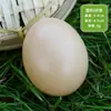 Accesorios para Fotografía de Huevos Gigantes Huevos de Pato para Ventana Huevos Huevos Huevos Falsos de Ganso Huevos de Codorniz Huevos de Avestruz Modelos Huevos de Dinosaurio