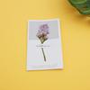 Tarjeta de Agradecimiento Creativa con Flores Frescas y Conservadas, Flores Secas, Tarjeta de Flor Natural, Tarjeta de Gratitud, Tarjeta del Día del Maestro