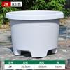 Vaso de flores de resina baixa espessada Bulbo respirável de plástico Tulipa Lírio Açafrão Vermelho Especial Grande Pote
