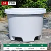 Vaso de Flor de Resina Curto Espessado, Vaso de Plástico Respirável para Bulbos, Tulipas, Lírios, Amarílis, Crocus e Açafrão, Tamanho Grande