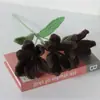 Producto de Flor de Hilo Terminada, Ramo Individual de Lirio Tejido a Crochet Puramente Hecho a Mano, Flor Artificial, Regalo de San Valentín, Flor Tejida a Mano