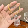 Colgante Bola de Pelo de Gato Almacenamiento de Pelo de Gato Colgante Pequeño Caja Transparente para Guardar Pelo Botella para Recoger Pelo de Mascota Llavero