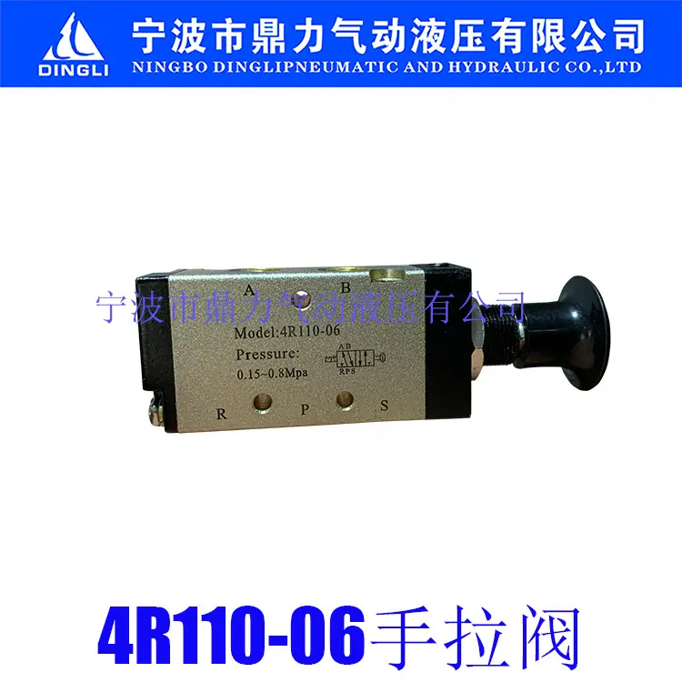 4R110-06