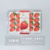 Caja de embalaje para fresas 10/12/15/20 caja transparente desechable para fresas Caja transparente a prueba de golpes exprés para fresas