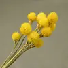 Pétalas de Flor Violeta Eterna, Flores Secas, Vagens de Flor de Orquídea, Flores Feitas à Mão e Sementes de Flor de Calêndula