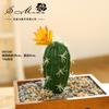 Cactus carnoso de simulación con flor, suministro directo de fábrica, flores artificiales, accesorios creativos para bonsái DIY, bola de cactus