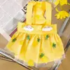 Saia de princesa de cachorro fofa fina morango verão fina respirável animal de estimação gato cachorro pequeno vestido saia de gaze