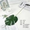 Folhas de Planta Artificial com Padrão de Casco de Tartaruga, Folhas de Bordo e Folhas de Lírio Calla, Laminadas para um Toque Realista, Parede de Fundo de Planta Verde para Decoração de Casa, Alta Simulação no Atacado