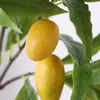 Planta Verde de Simulación Rama de Árbol de Mango Paisajismo de Jardín Planta Verde Falsa Rama Grande con Fruta Fotografía del Hogar Decoración de Planta de Simulación