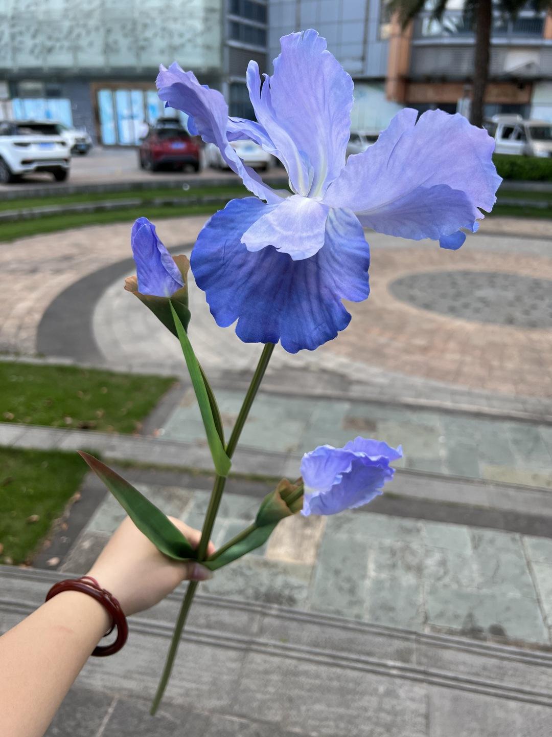 微信图片_20230507141732