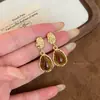 Brincos Retrô Maillard Caramelo Pedra Olho de Tigre Femininos Outono e Inverno Luxo Leve Nicho High-End Brincos Únicos e Bonitos
