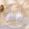 Sujetador sin cables al por mayor, Sujetador deportivo cómodo estilo chaleco, Sujetador para mamá talla grande, Ropa interior ajustable para dormir