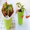 Atrapamoscas en maceta para uso en interiores en verano y otoño, Repelente de mosquitos, Atrapa moscas, Planta insectívora, Plántula grande, Planta verde, Insectívora