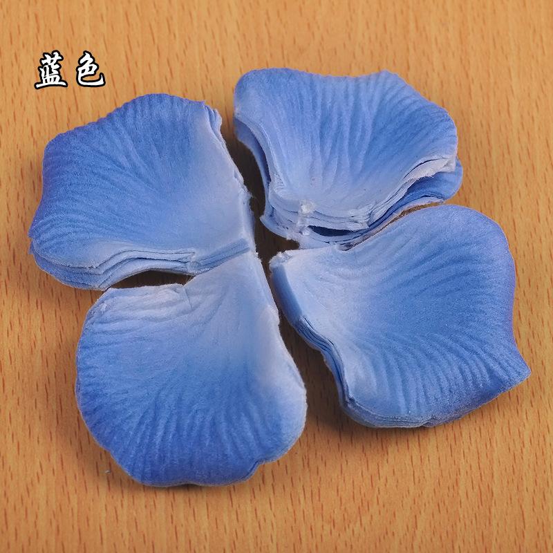 2811881552_1354842517