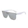 Nuevas Gafas de Sol Aviador de Doble Barra Transfronterizas Europeas y Americanas Ins Gafas de Sol de Moda para Hombres y Mujeres Gafas de Sol para Conducir y Protección Solar