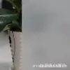 Película de Vidrio Esmerilado, Translúcida y Opaca, Película Autoadhesiva de Protección Solar, Pegatina para Ventana de Puerta Corredera de Baño, Impermeable E18