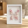 Marco para specimen de flor seca hueca DIY, marco de enmarcado tridimensional engrosado de 1.2 cm, decoración creativa, marco de fotos A4, marco de fotos de 6 pulgadas