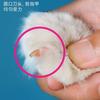 Tijeras Pequeñas Ciega para Uñas de Gato al por Mayor, Cortauñas Especial para Gatos Mascotas, Cortauñas de Agujero Redondo para Principiantes, Cortauñas