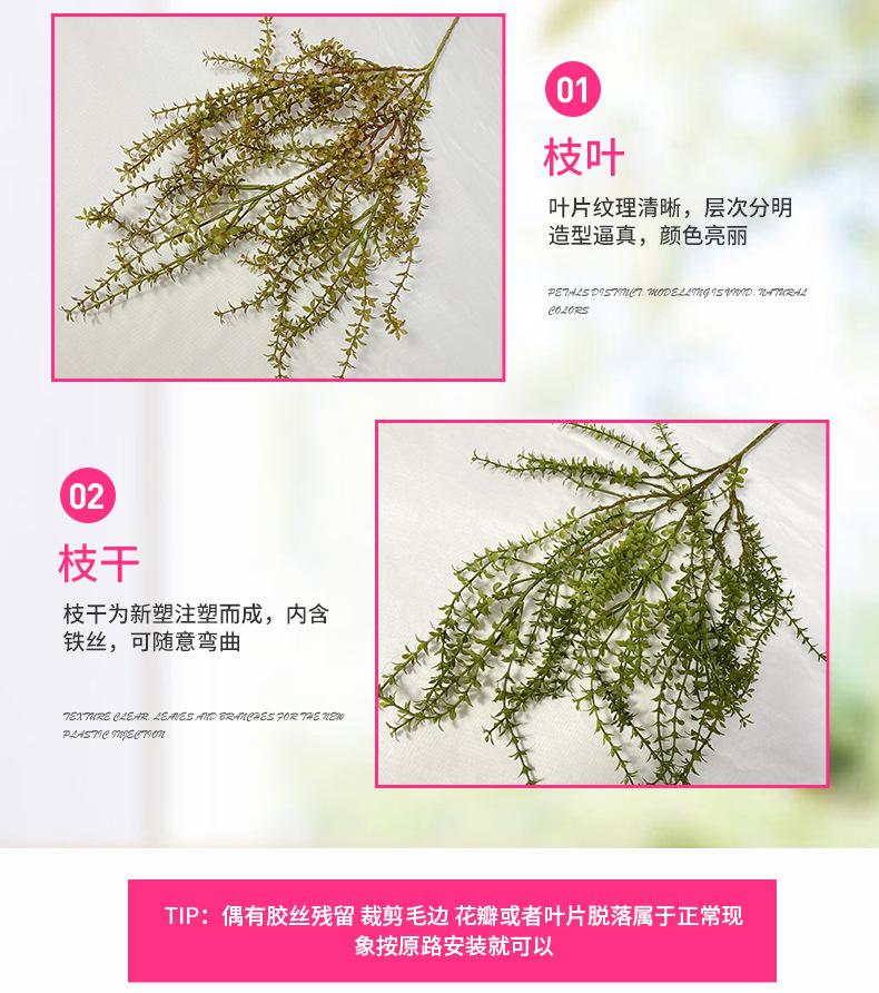 产品细节2-最终.jpg