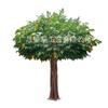 Árbol de la fortuna de simulación, gran plantación de piso verde, árbol del dinero, ventana, oficina, adornos de plantas decorativas, simulación Fluton