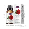Aceite esencial de aromaterapia completo en inglés transfronterizo lavanda sin alcohol suplemento de aromaterapia humidificador agua para aromaterapia soluble en agua fabricantes